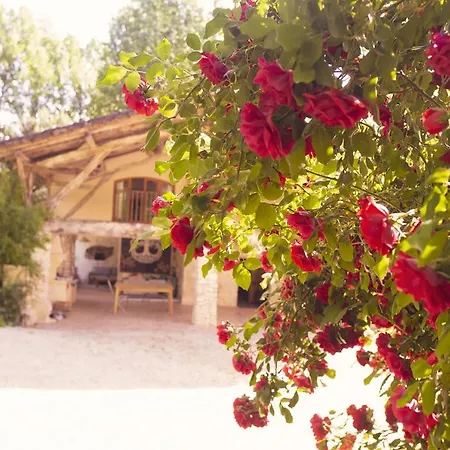Bed and breakfast Le Moulin De